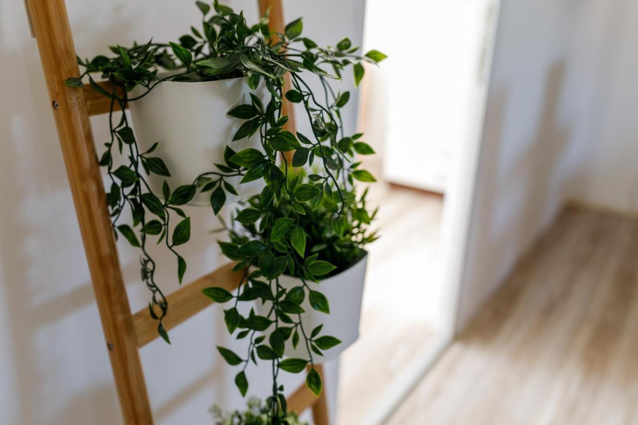 Kristall Apartments Šabac エクステリア 写真